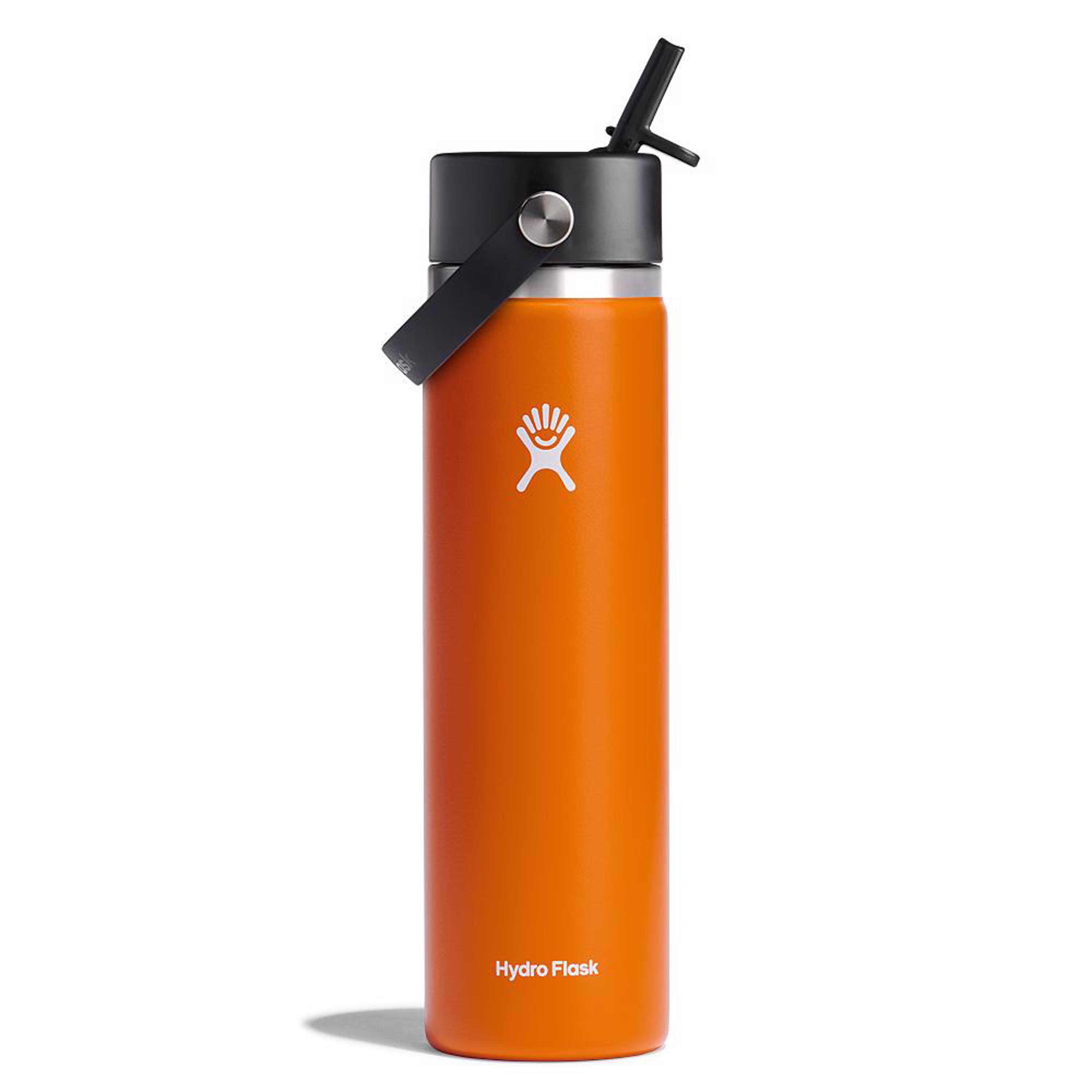 Hydro Flask 24 oz Standard Mouth Water Bottle with Flex Cap Flex Straw  Laguna