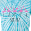 11570223083-turquoise-ron-jon-kids-happy-flamingos-tee-graphic.jpg