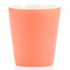 ron-jon-coral-etched-shot-glass-back.jpg