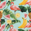 10210288082-aqua-ron-jon-fruity-flamingo-short-sleeve-shirt-graphics.jpg