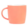 ron-jon-coral-etched-mug-back.jpg