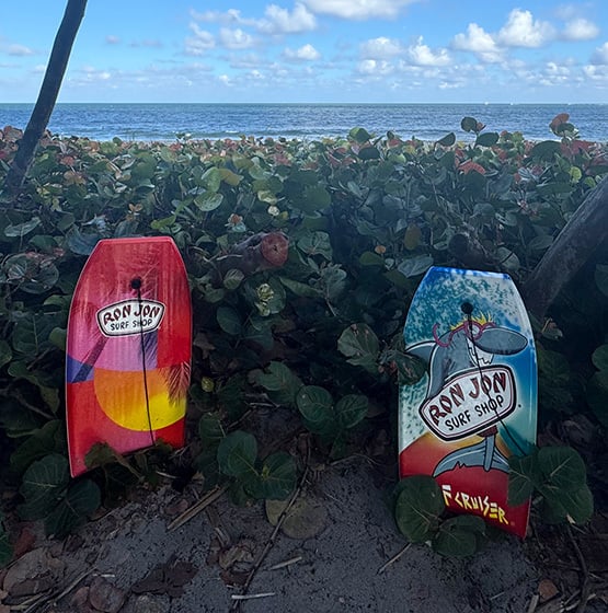 bodyboards with a sunset or Surf Cruiser character among foliage at the beach