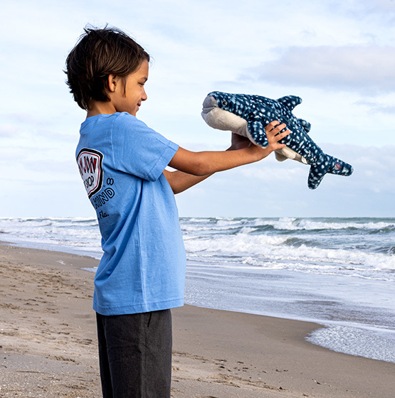 A child stands on a sandy beach, holding a plush whale shark toy next to the ocean, with waves and clouds in the background.